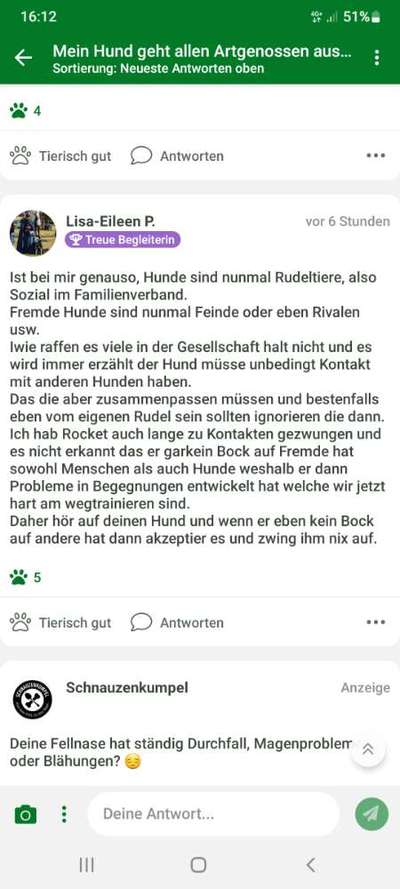 Mein Hund geht allen Artgenossen aus dem Weg-Beitrag-Bild