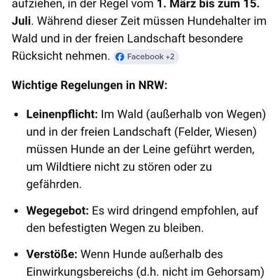 Leinenpflicht – nervige Einschränkung oder sinnvoller Schutz?-Beitrag-Bild