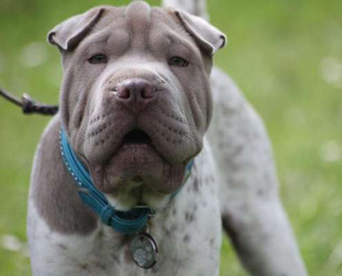 Zeigt eure Portraits-Beitrag-Bild