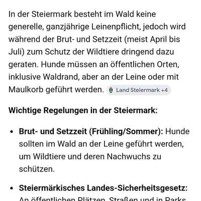 Leinenpflicht – nervige Einschränkung oder sinnvoller Schutz?-Beitrag-Bild