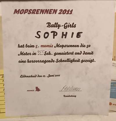 Große Dackel-Parade in Regensburg geplant - Was denkt ihr?-Beitrag-Bild