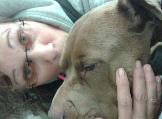 11. Collagen-Challenge
Dein*e Hund*e in verschiedenen Lebensphasen-Beitrag-Bild