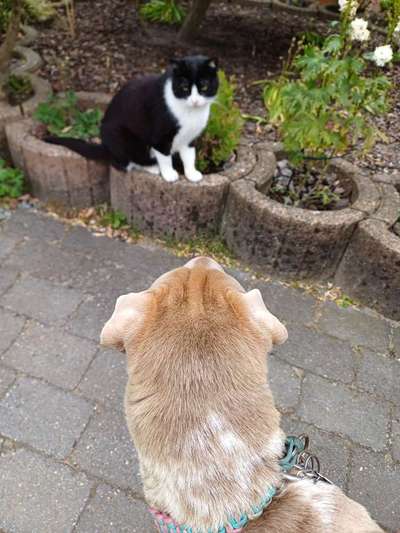 Was hat euch heute gefreut?-Beitrag-Bild