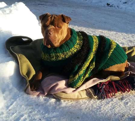 Handyfoto Challange  - Winter,Schnee-Beitrag-Bild