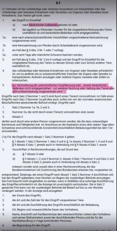 Aktuelle Kosten Kastration-Beitrag-Bild