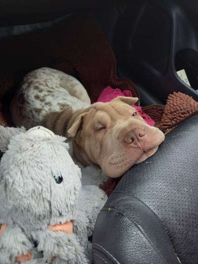 Fotochallenge 101:
On Tour-Beitrag-Bild