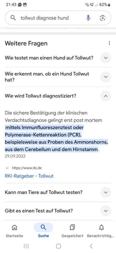 Impfen ja oder nein?-Beitrag-Bild