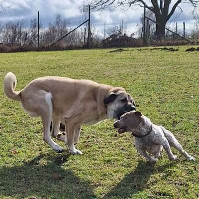 Was hat euch heute gefreut?-Beitrag-Bild