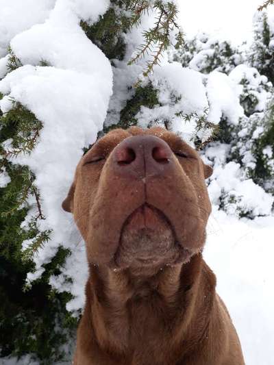 20. Handy -Foto-Callenge-Beitrag-Bild