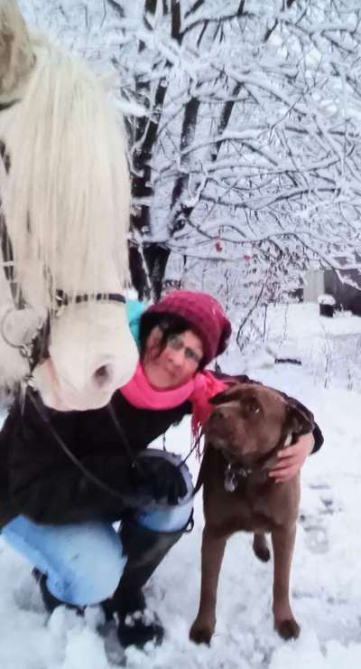 Handy-Foto-Challange Nr. 8-Beitrag-Bild