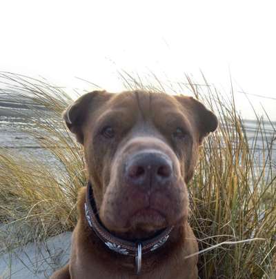 37. Collagen Challenge- Am Strand-Beitrag-Bild