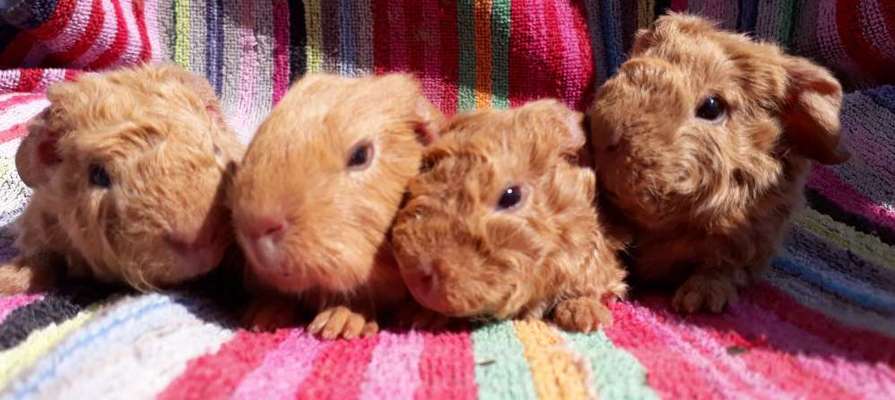 Freundschaftsanfragen-Beitrag-Bild