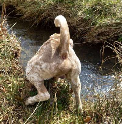 53. Collage Challenge - Verschiedene Blickwinkel-Beitrag-Bild