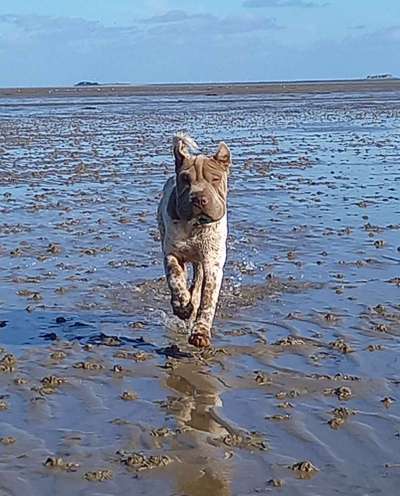 37. Collagen Challenge- Am Strand-Beitrag-Bild