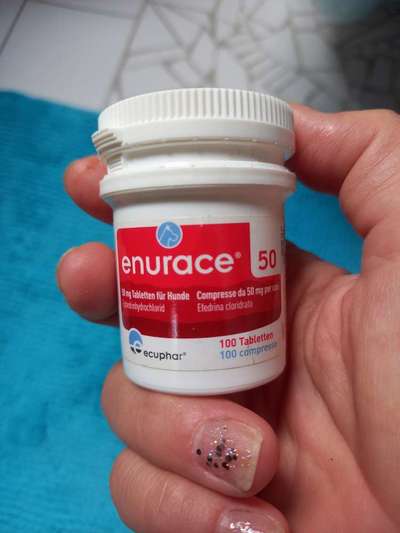 Plötzlich nicht mehr Inkontinent-Beitrag-Bild