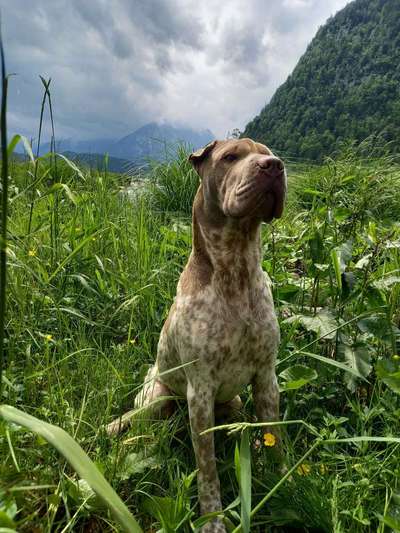 53. Collage Challenge - Verschiedene Blickwinkel-Beitrag-Bild