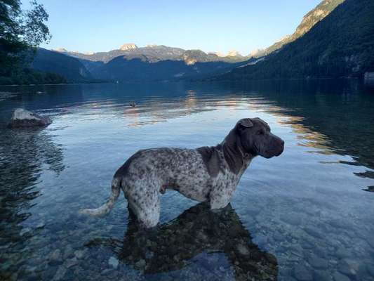 17. Farben Foto Challenge: Pastellfarben-Beitrag-Bild