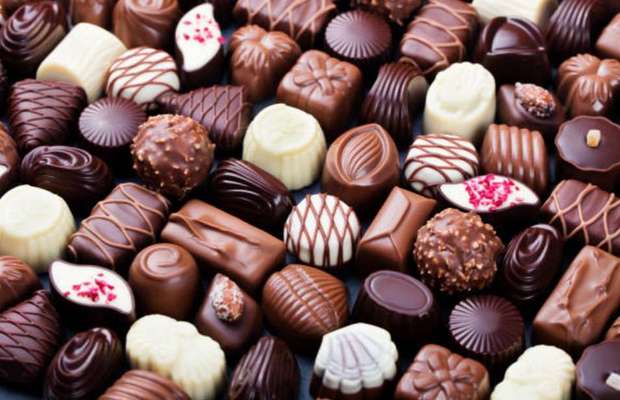 Wie heißt dein Hund?-Beitrag-Bild