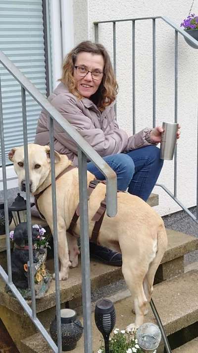 Wie kann man den Hunden im Ausland helfen ?  Stichwort Adoption !-Beitrag-Bild