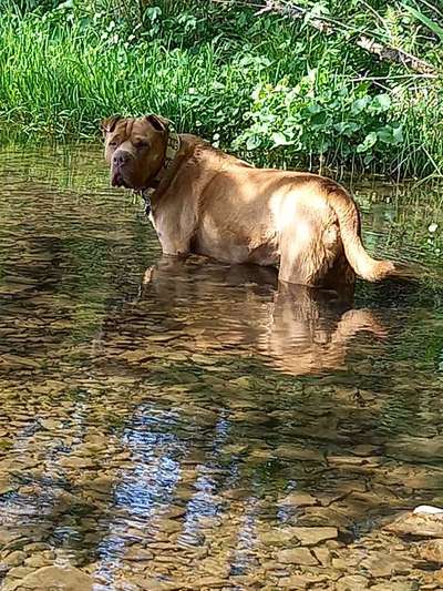 Fotowettbewerb: Wasserratte-Beitrag-Bild