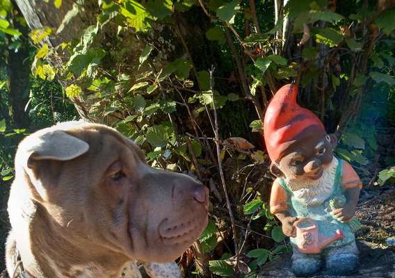 23. Handy Foto-Challenge-Beitrag-Bild