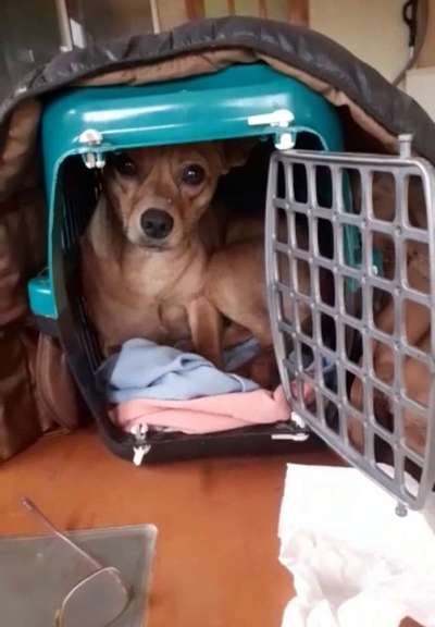 Warum ist manches so extrem?-Beitrag-Bild