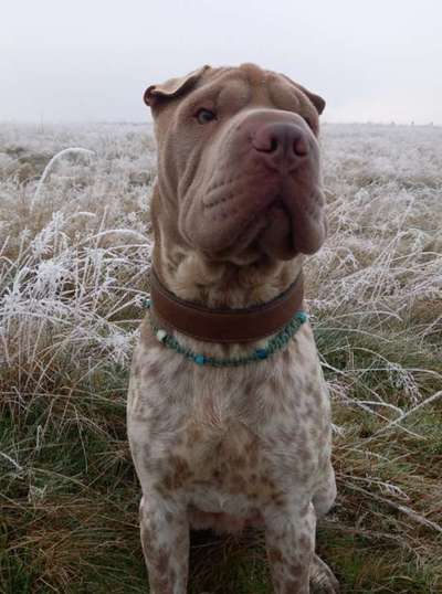 28. Handy-Fotochallenge - Damals und heute-Beitrag-Bild