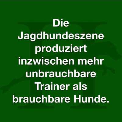 Hundetrainer – Der Joker/Die Rettung?-Beitrag-Bild