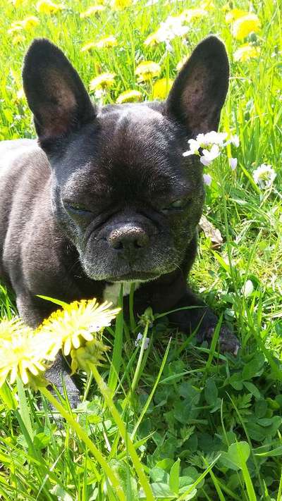 Fotochallenge Nr. 94 It's summer time-Beitrag-Bild