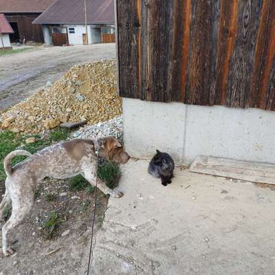 Was hat euch heute gefreut?-Beitrag-Bild