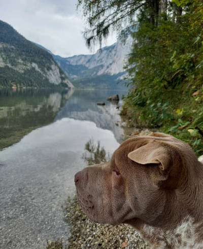 6. Collagen Challenge - Die schönsten Momente in der Natur-Beitrag-Bild