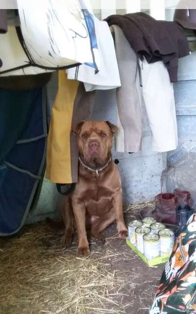 Fotochallenge 108: Starkes Team-Beitrag-Bild