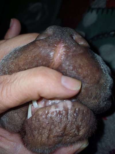 Helle Stelle Lippe-Beitrag-Bild