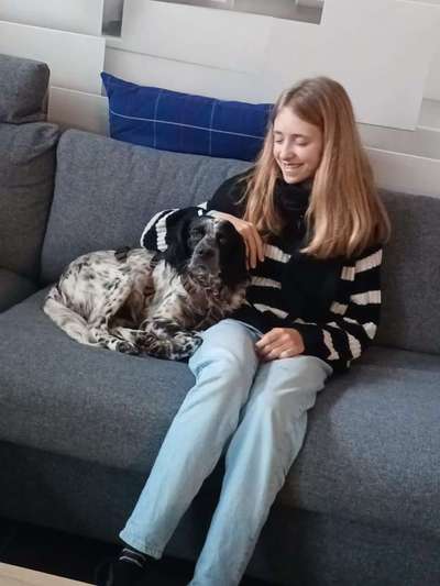 Tierschutzhunde suchen ein Zuhause-Beitrag-Bild