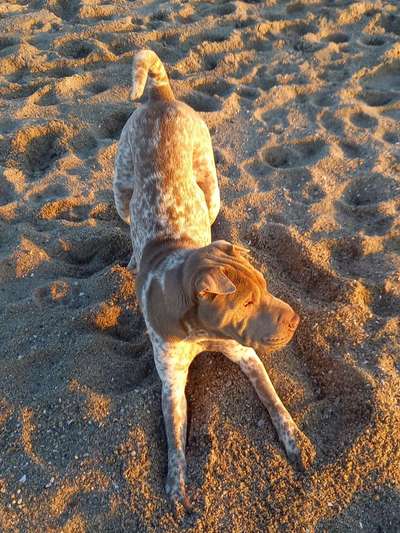 53. Collage Challenge - Verschiedene Blickwinkel-Beitrag-Bild