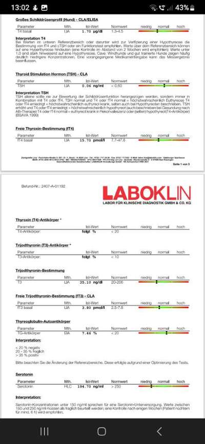 Schilddrüse-Beitrag-Bild
