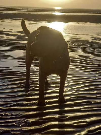 37. Collagen Challenge- Am Strand-Beitrag-Bild