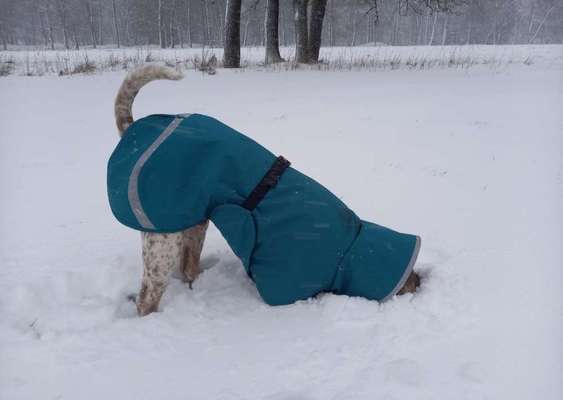 48. Collagen Challenge: Das Leben ist bunt-Beitrag-Bild