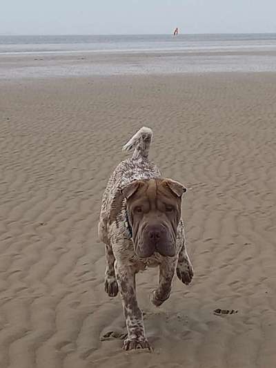 37. Collagen Challenge- Am Strand-Beitrag-Bild