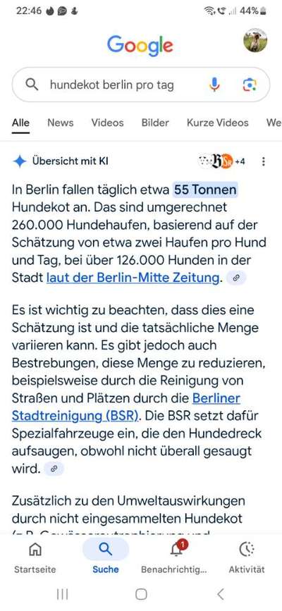 Tierheimpauschale - Zwangsabgabe 
Ja oder Nein?-Beitrag-Bild