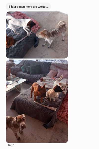 Was hat euch heute gefreut?-Beitrag-Bild