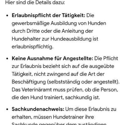 Hundetrainer – Der Joker/Die Rettung?-Beitrag-Bild