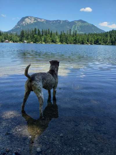 Zeigt eure schönsten Sommerbilder-Beitrag-Bild