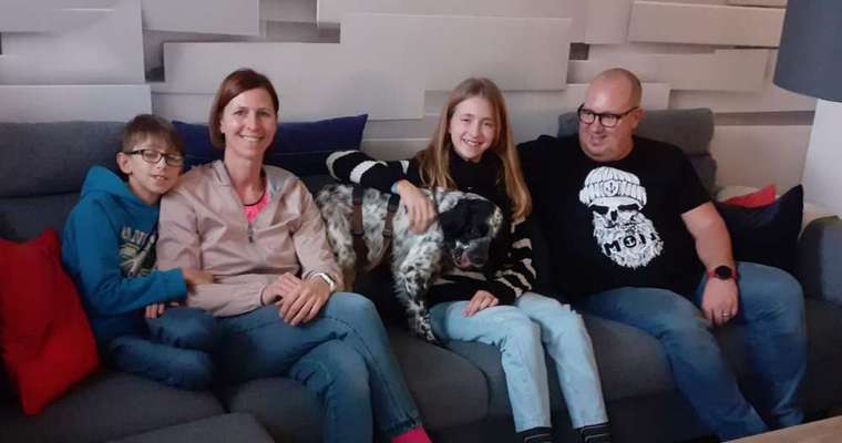 Tierschutzhunde suchen ein Zuhause-Beitrag-Bild