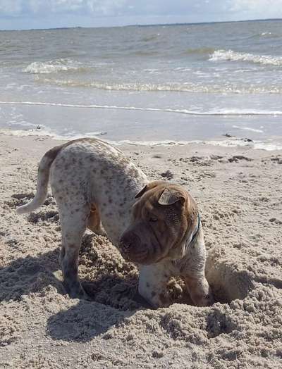 Theos Fotochallange Nummer 4-Beitrag-Bild