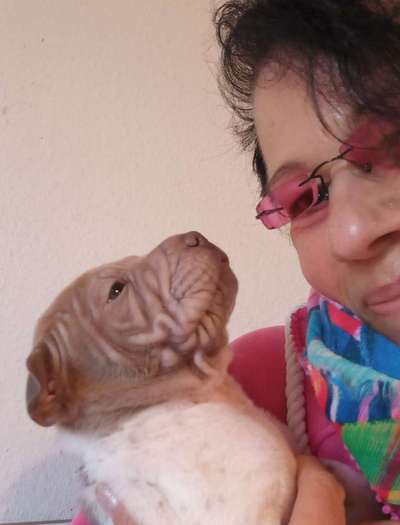 11. Collagen-Challenge
Dein*e Hund*e in verschiedenen Lebensphasen-Beitrag-Bild