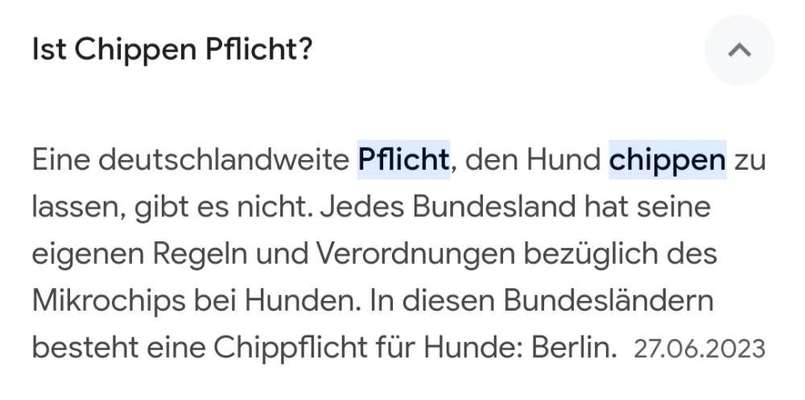 LEINENPFLICHT AM RHEIN-Beitrag-Bild