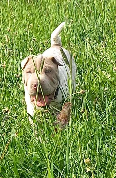 Handyfoto challenge Nr. 13: Waschlappen raus!-Beitrag-Bild