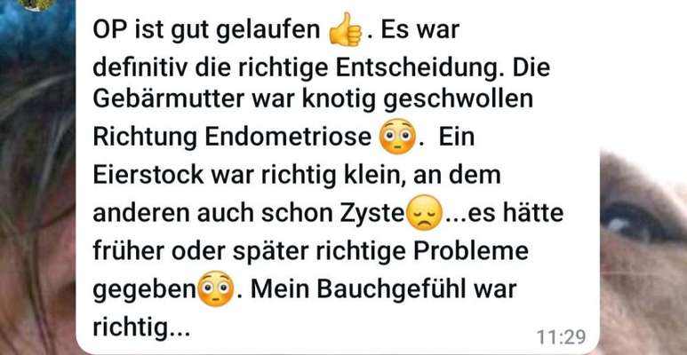 🐾 Sterilisations-Impfung bei Hunden: Revolution oder Risiko? 🐾-Beitrag-Bild