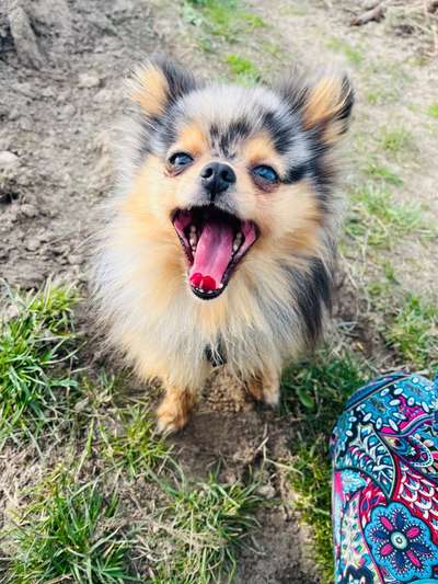 Handyfoto challenge Nr. 13: Waschlappen raus!-Beitrag-Bild